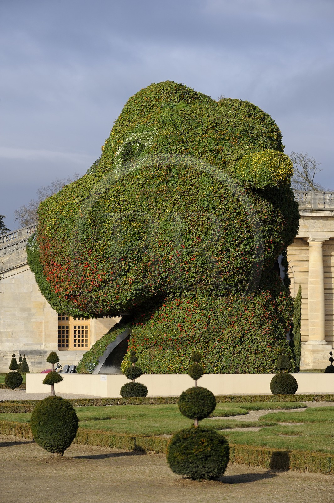 France, Yvelines (78), château de Versailles, classé Patrimoine Mondial de l'UNESCO, le parterre de l'Orangerie de Jules Hardouin-Mansart, le Split-Rocker de Jeff Koons