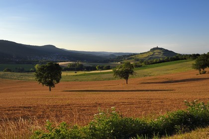 France, Puy de Dome, Ceyrat, wheat field and Montrognon Castle in the background