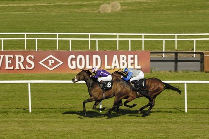 Republic of Ireland, County Meath, Ratoath, Fairyhouse racecourse, horse race