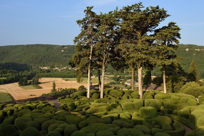 France, Dordogne, Perigord Noir, Dordogne Valley, Vezac, park from Les Jardins de Marqueyssac of the 18th century, terraced gardens with box tree inspired by Le Notre