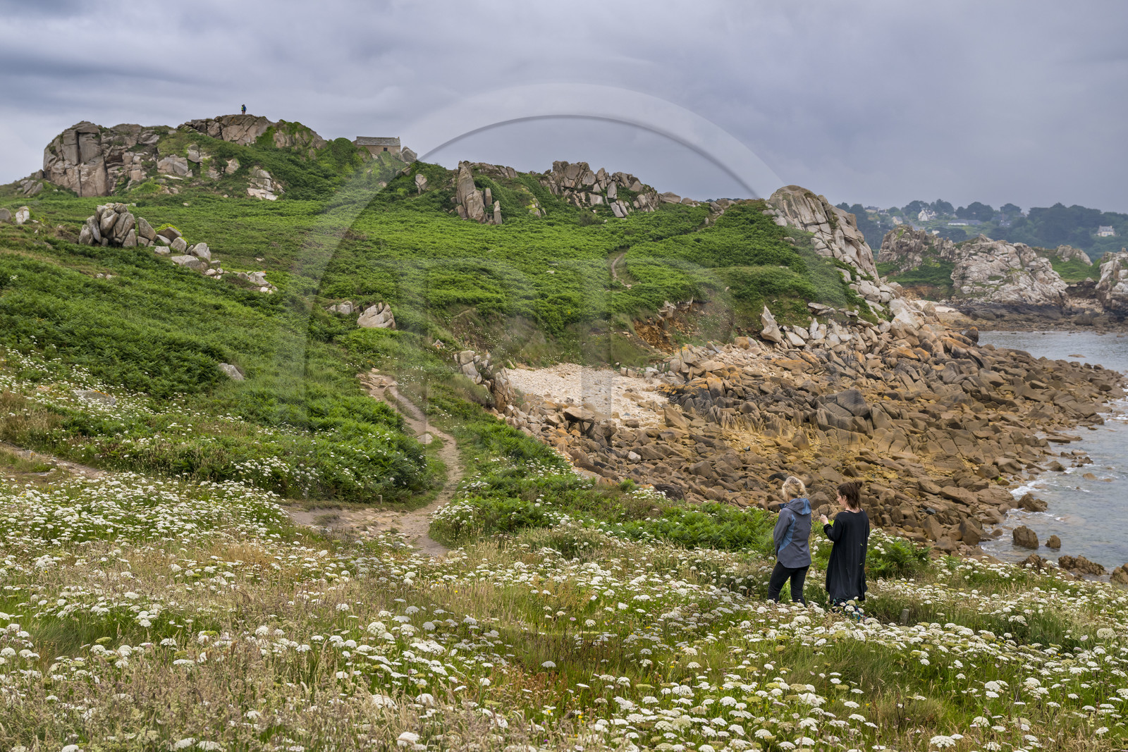 France, Finistère (29), Plougasnou, Primel-Trégastel, la Pointe de Primel à l'extrémité de la Baie de Morlaix, sur le GR 34