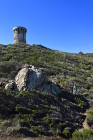 France, Corse du Sud, Zonza, Fautea genoese tower