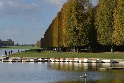 France, Yvelines (78), parc du château de Versailles, classé Patrimoine Mondial de l'UNESCO, le Grand Canal