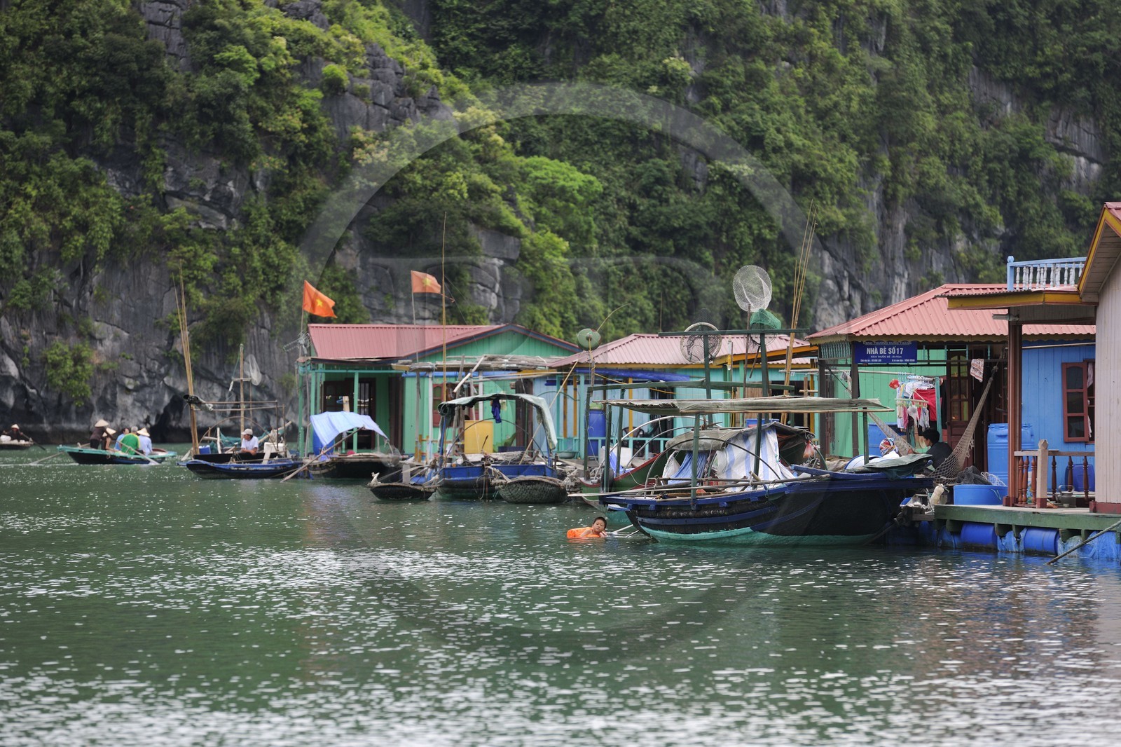 Vietnam, Quang Ninh Province, Halong Bay, listed as World Heritage by UNESCO, fishing floating village of Vong Vieng
