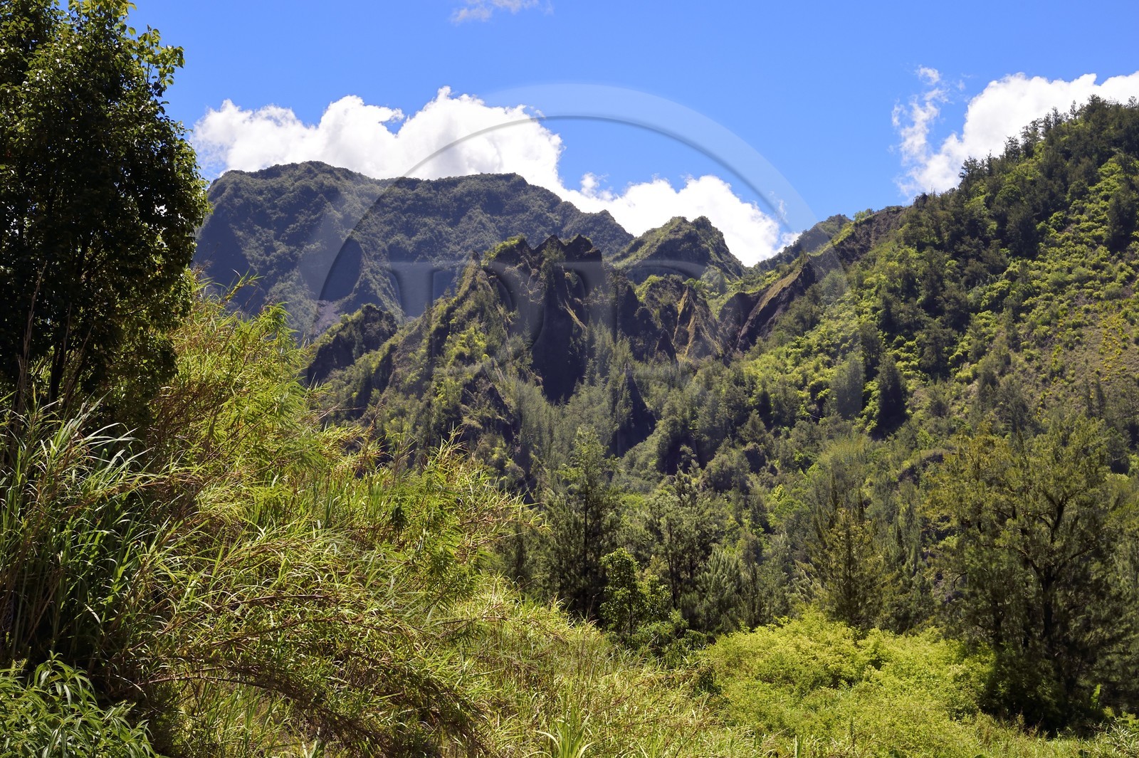 France, Reunion island (French overseas department), Cirque de Salazie, listed as World Heritage by UNESCO, towards Mare a Poule d'Eau