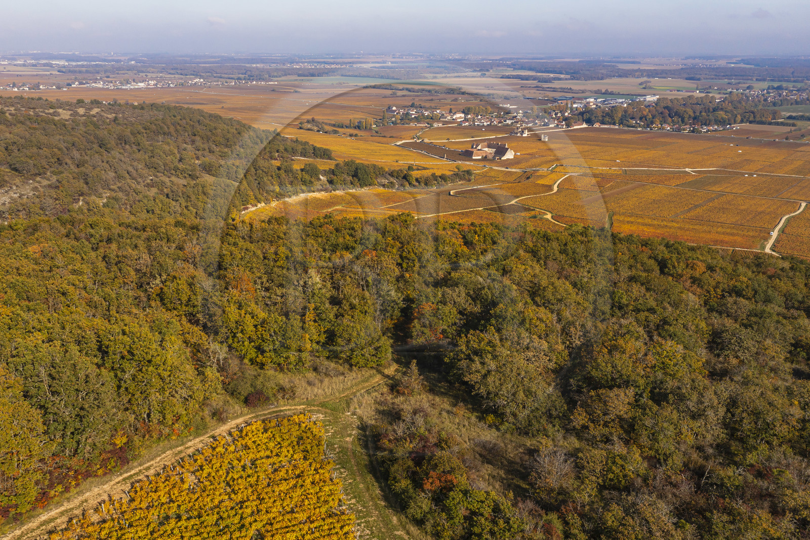 France, Cote d'Or, cultural Landscape of the climates of Burgundy listed as World Heritage by UNESCO, Vougeot, Route des Grands Crus (road of Vintage Wines), view from the hills of the Chateau du Clos de Vougeot surrounded by vineyards in the Climats terroirs of Burgundy