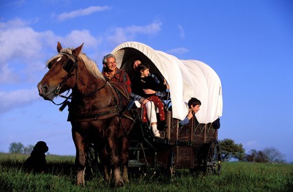 France, Saone et Loire, Morvan region, wagon crossing a field near the village of Celle en Morvan