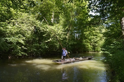 France, Bas-Rhin (67), région d'Ebersmunster et Muttersholtz, le Grand Ried, le batelier Patrick Unterstock dans une barque à fond plat en bois sur la rivière l'Ill