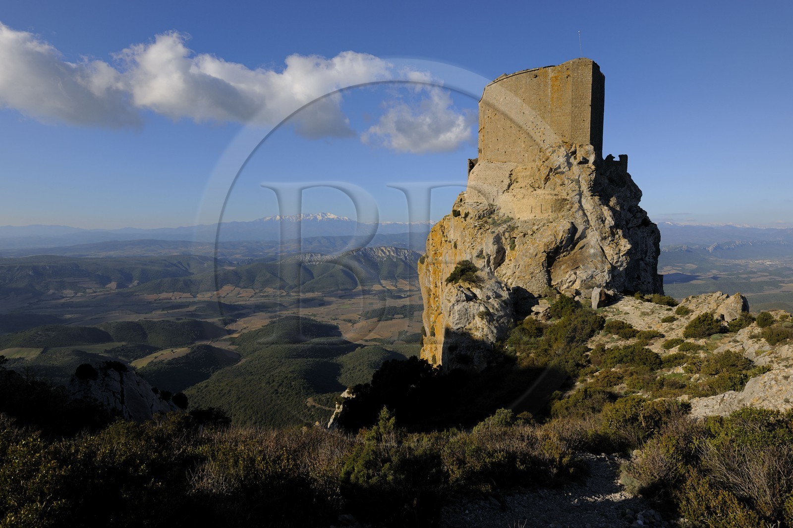 France, Aude (11), Pays Cathare, le château de Quéribus, devant la plaine de Maury et le Mont Canigou (2784 m) dominant la chaine des Pyrénées