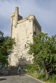 France, Gard, Villeneuve les Avignon, the 14th century Philippe Le Bel tower