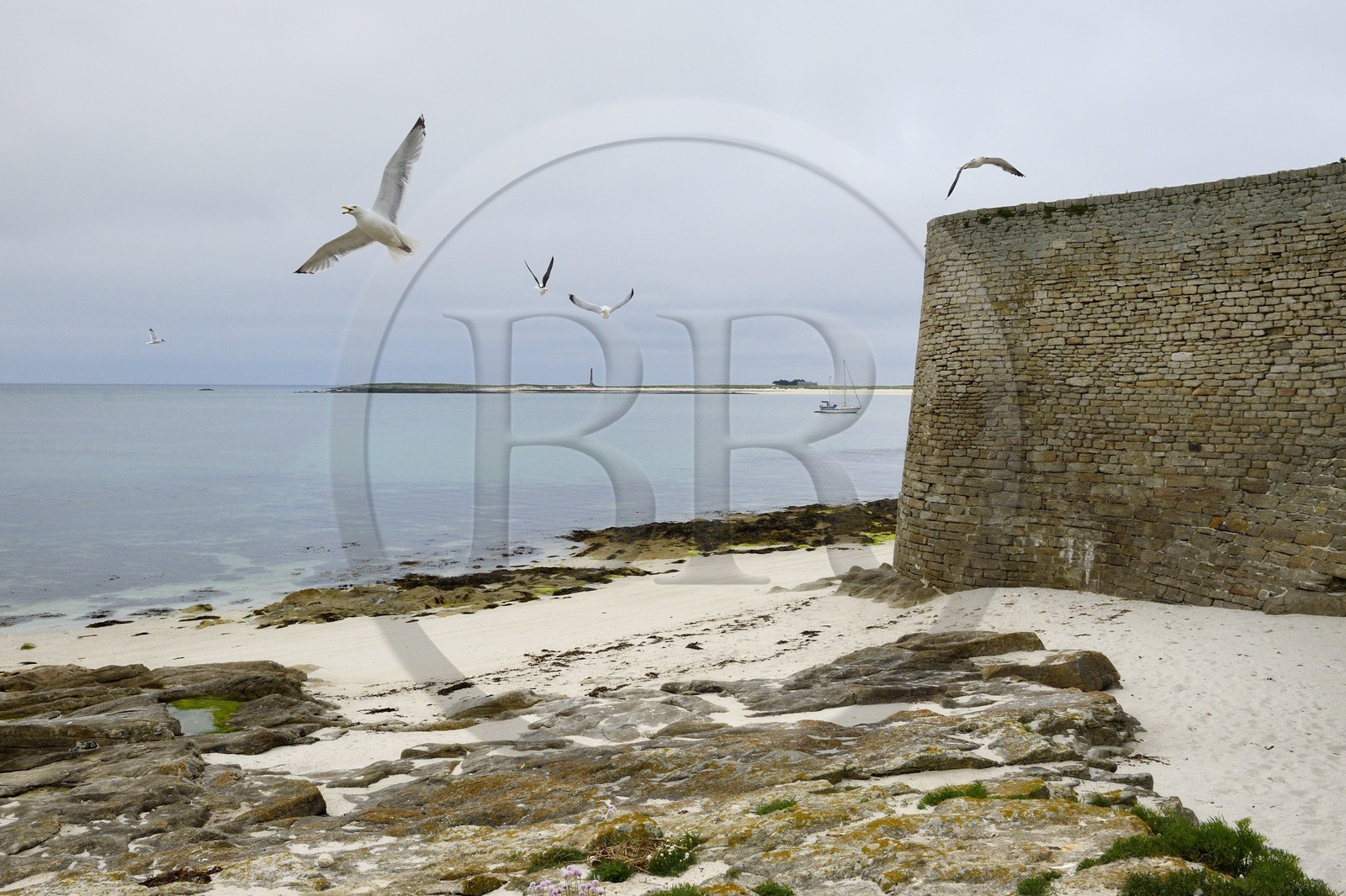 France, Finistère (29), La Foret Fouesnant, archipel des Glénan, Ile Saint-Nicolas, Fort Cigogne sur l'Ile Cigogne