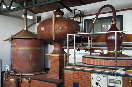 France, Charente (16), Sireuil, Distillerie des Moisans, alambic charentais destiné à produire l'eau-de-vie de vin qui deviendra du cognac