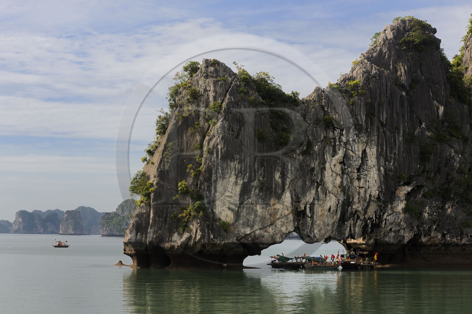Vietnam, province de Quang Ninh, la Baie d'Halong classée Patrimoine Mondial de l'UNESCO, regroupement de bateaux de pêche sous une arche naturelle d'un ilot calcaire