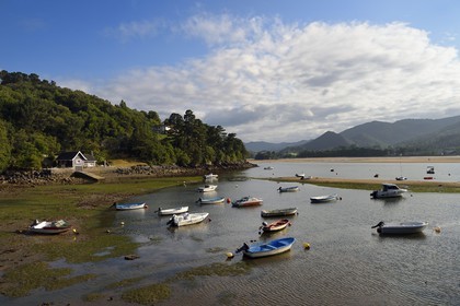 Espagne, Pays basque espagnol, Biscaye, région de Gernika-Lumo, Réserve de biosphère d'Urdaibai, estuaire du fleuve Oka à marée basse au sud de Mundaka, petit mouillage de Laida
