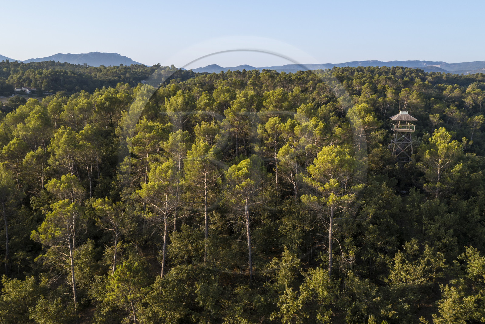 France, Var, Provence Verte (Green Provence), Bras, Academie du Bain de Foret Provencale (Academy of Forest Bathing in Provence), forest of the domaine Le Peyrourier - une campagne en Provence, the fording tower (aerial view)