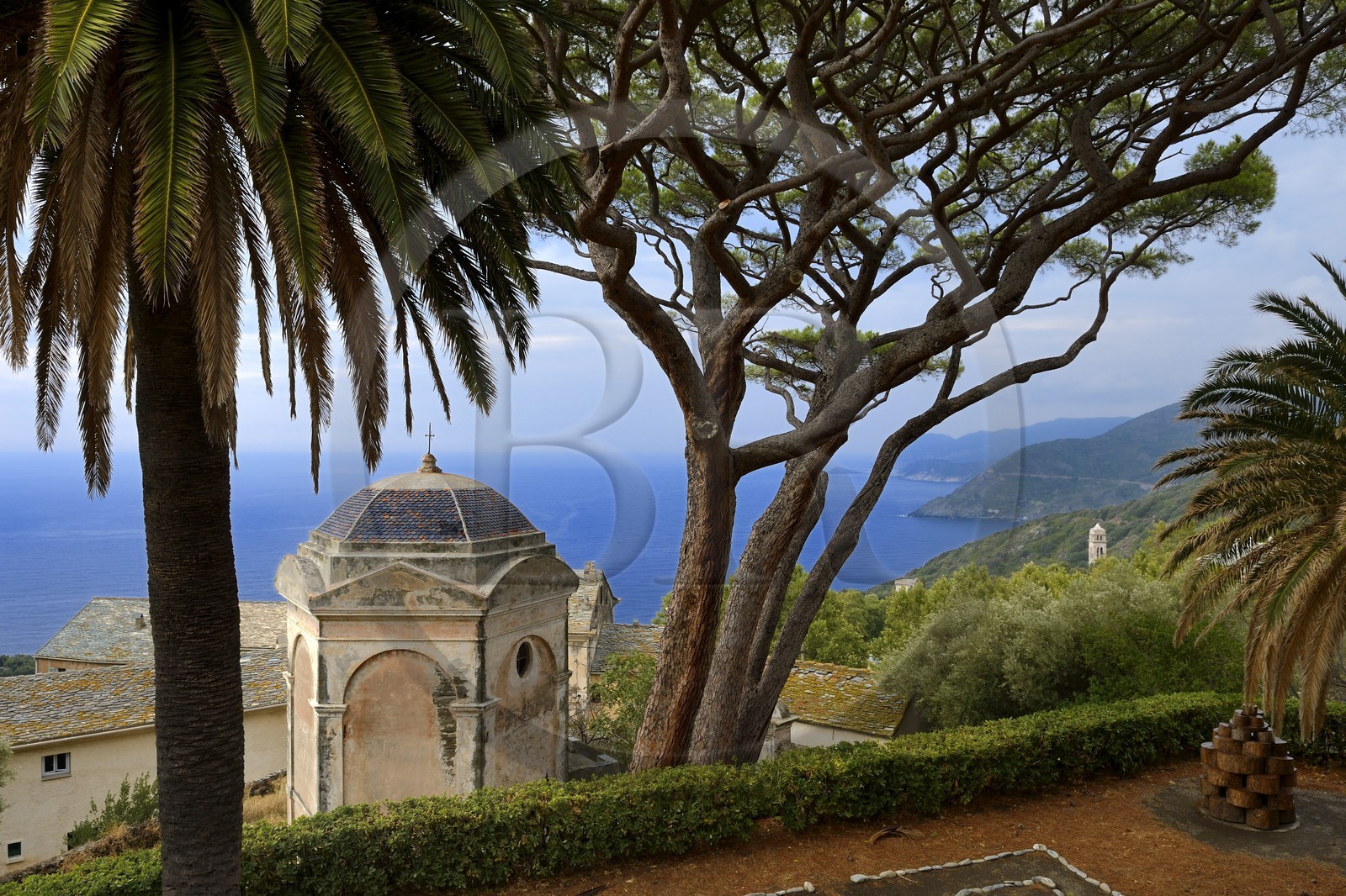 France, Haute-Corse (2B), Cap Corse, Pino