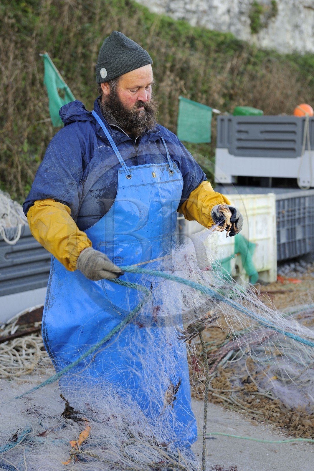 France, Seine-Maritime (76), Veules-les-Roses, pêcheur récupérant la pêche du jour des filets