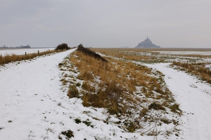 France, Ille-et-Vilaine (35), le polder du Mont-Saint-Michel