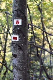 France, Haut-Rhin (68), Parc naturel régional des ballons des Vosges, Rimbach-près-Masevaux, panneau du sentier de grande randonnée GR5