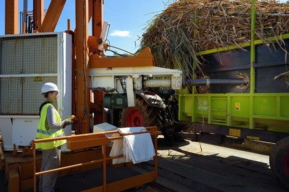France, Ile de la Reunion, Saint-Pierre, Grands Bois, un des 11 centres de réception et de collecte de la canne à sucre aussi appelés Balance, les tracteurs amènent depuis les champs la canne dans des remorques, pesée et carottage du chargement avant d'être acheminée vers l'usine sucrière du Gol