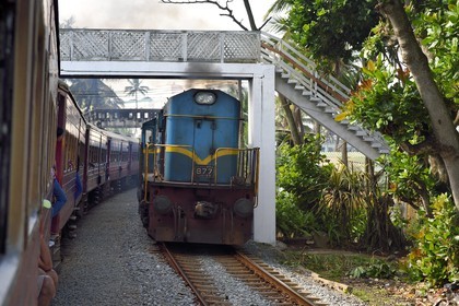 Sri Lanka, Province de l'Ouest, Colombo, Mount Lavinia, train de Colombo à Galle