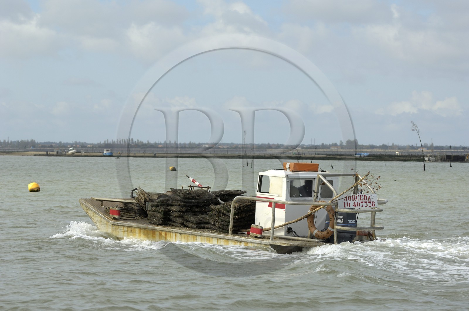 France, Charente-Maritime (17), le bassin Marrennes-Oléron au large de l'Ile d'Oléron, chaland à huîtres