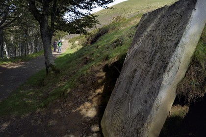 France, Pyrénées-Atlantiques (64), Pays-Basque, chemin de Saint-Jacques de Compostelle sur le GR 65 entre Saint-Jean-Pied-de-Port et Roncevaux vers le col de Bentarte, pèlerins devant la stèle indiquant que Compostelle est encore à 765 km