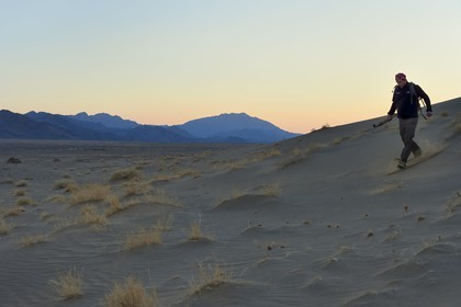 Iran, Province de Yazd, désert du Dasht-e Kavir, Moghestan, randonneur au pied du massif dunaire