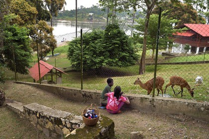 Gabon, Province du Moyen-Ogooué, Lambaréné, jardin de l'ancien Hopital Albert Schweitzer et la rivière Ogooué