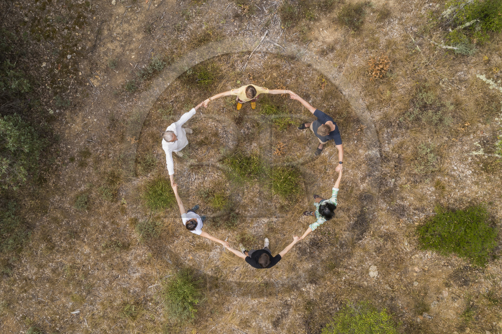 France, Var, Provence Verte (Green Provence), Bras, Academie du Bain de Foret Provencale (Academy of Forest Bathing in Provence), forest of the domaine Le Peyrourier - une campagne en Provence, Constanze Coisne guides Shinrin Yoku (aerial view)