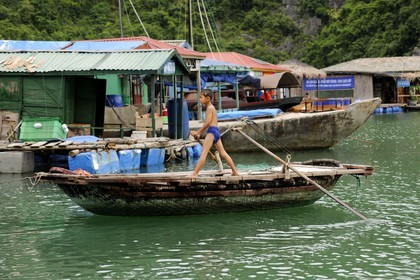 Vietnam, province de Quang Ninh, la Baie d'Halong classée Patrimoine Mondial de l'UNESCO, village flottant de pêcheurs de Vong Vieng