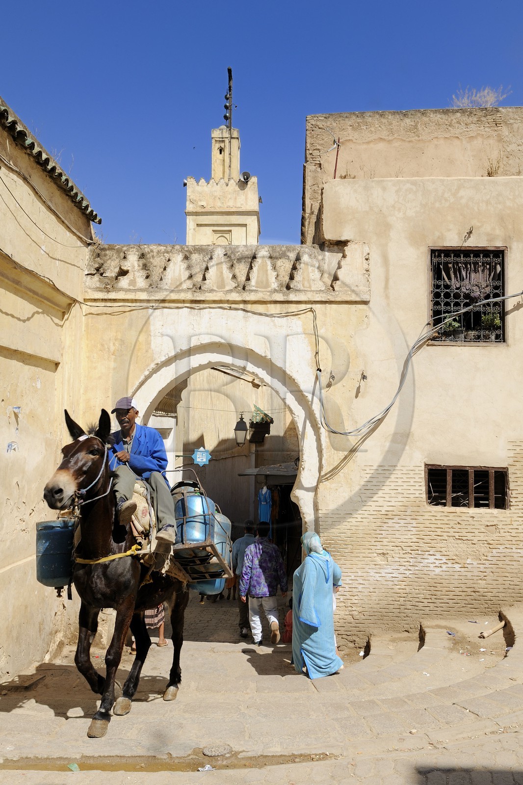 Maroc, Moyen Atlas, Fès, ville impériale, médina classée Patrimoine Mondial de l'UNESCO, Fès el Bali, quartier des Andalous