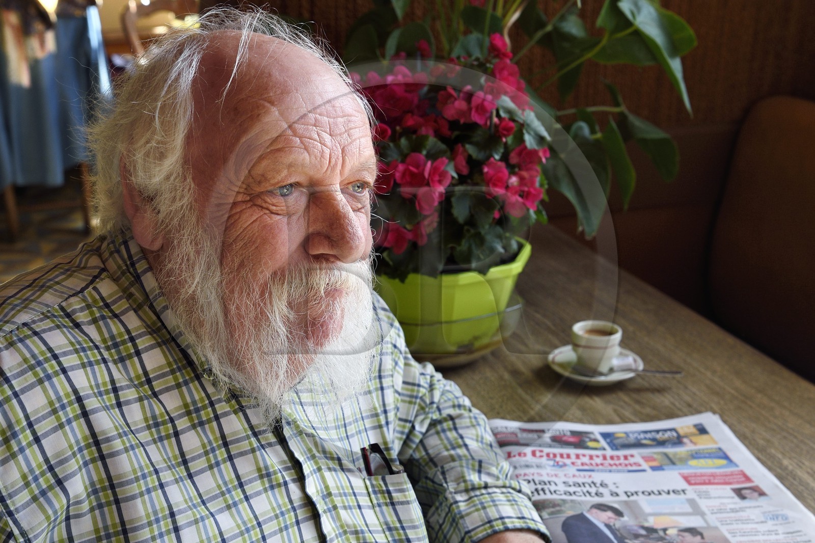 France, Seine-Maritime (76), Pays de Caux, Allouville-Bellefosse, Roger Devaux, correspondant historique du courrier Cauchois qui a tourné dans le film Le Chêne d’Allouville