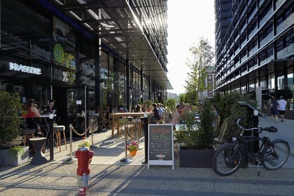 France, Bas Rhin, Strasbourg, development of port du Rhin (Rhine's harbour) and conversion of breakwater of Bassin d'Austerlitz, presqu'ile Malraux (Malraux peninsula), buildings the Black Swans by architect Anne Demians