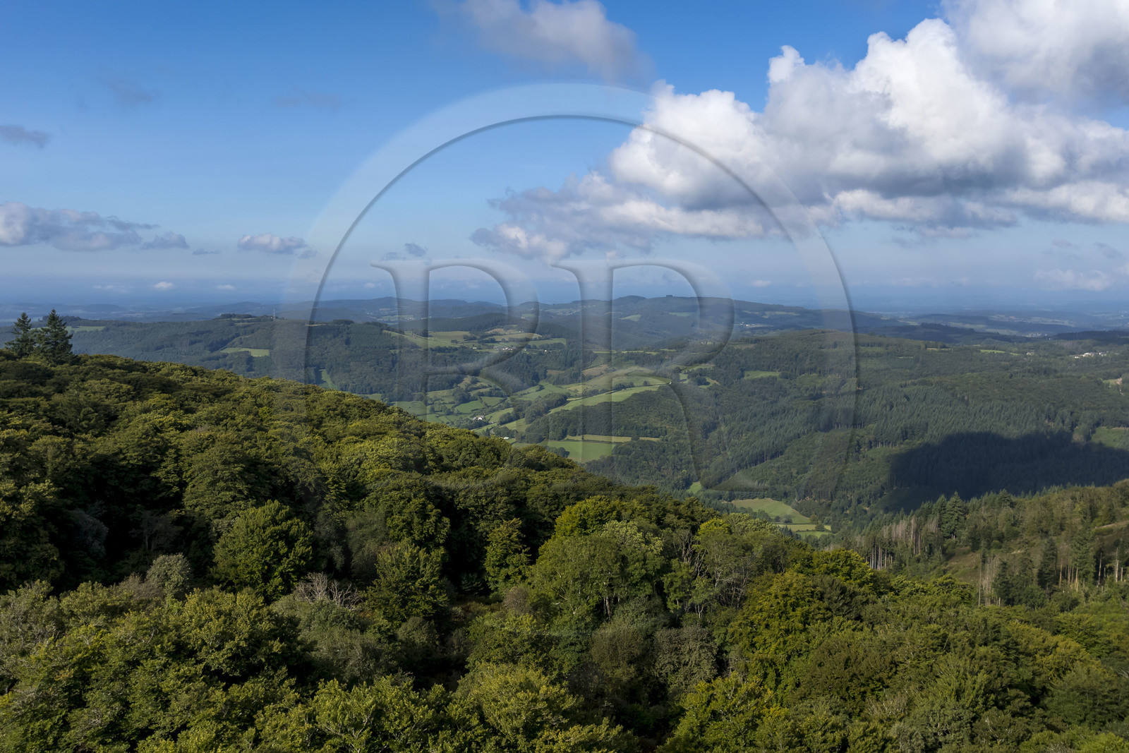 France, Saône-et-Loire (71), parc naturel régional du Morvan, Saint-Léger-sous-Beuvray, le mont Beuvray sur lequel se trouve l'oppidum de Bibracte, les vallées dans la Nièvre au sud (vue aérienne)