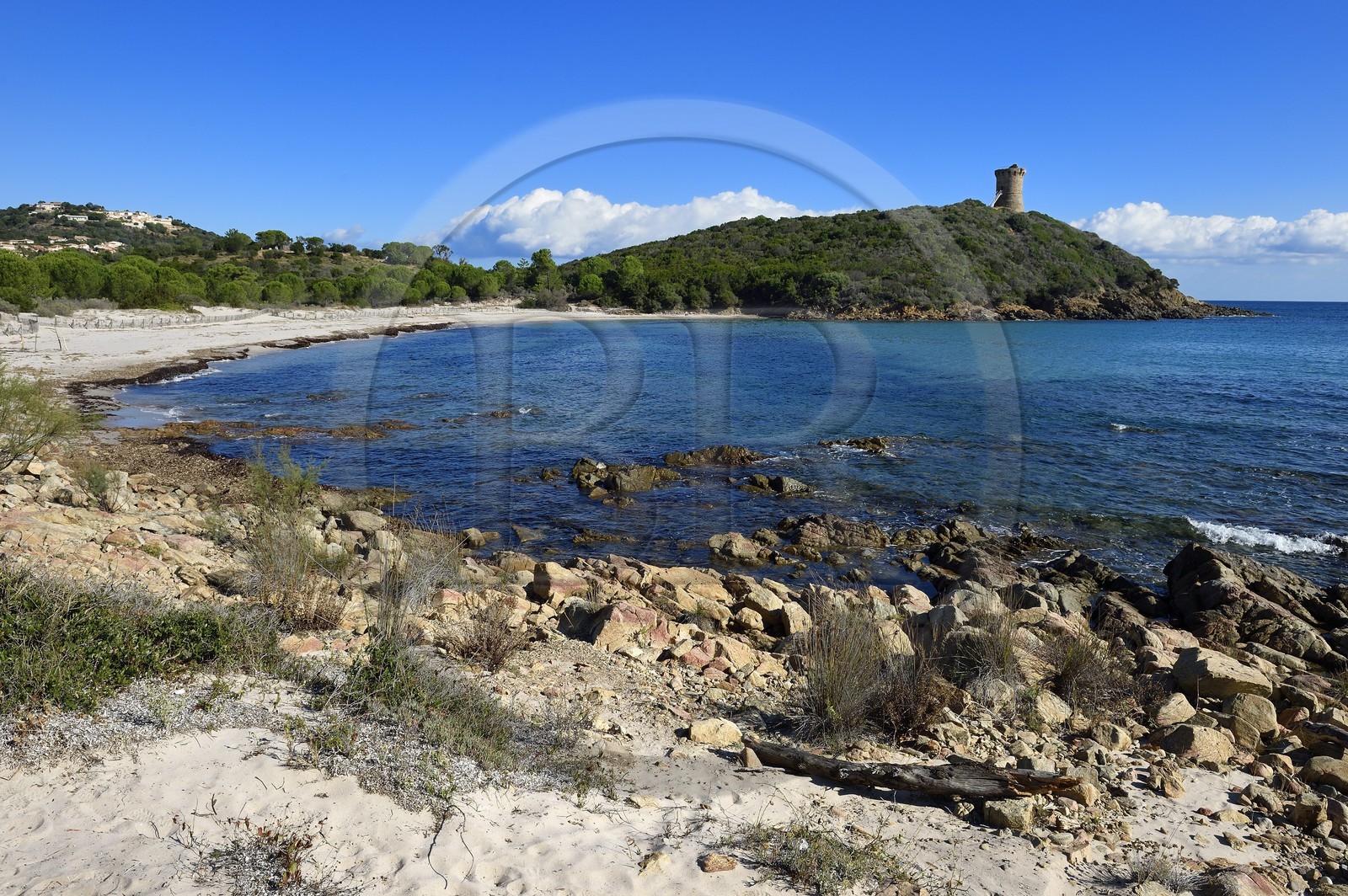 France, Corse-du-Sud (2A), Zonza, tour génoise de Fautea