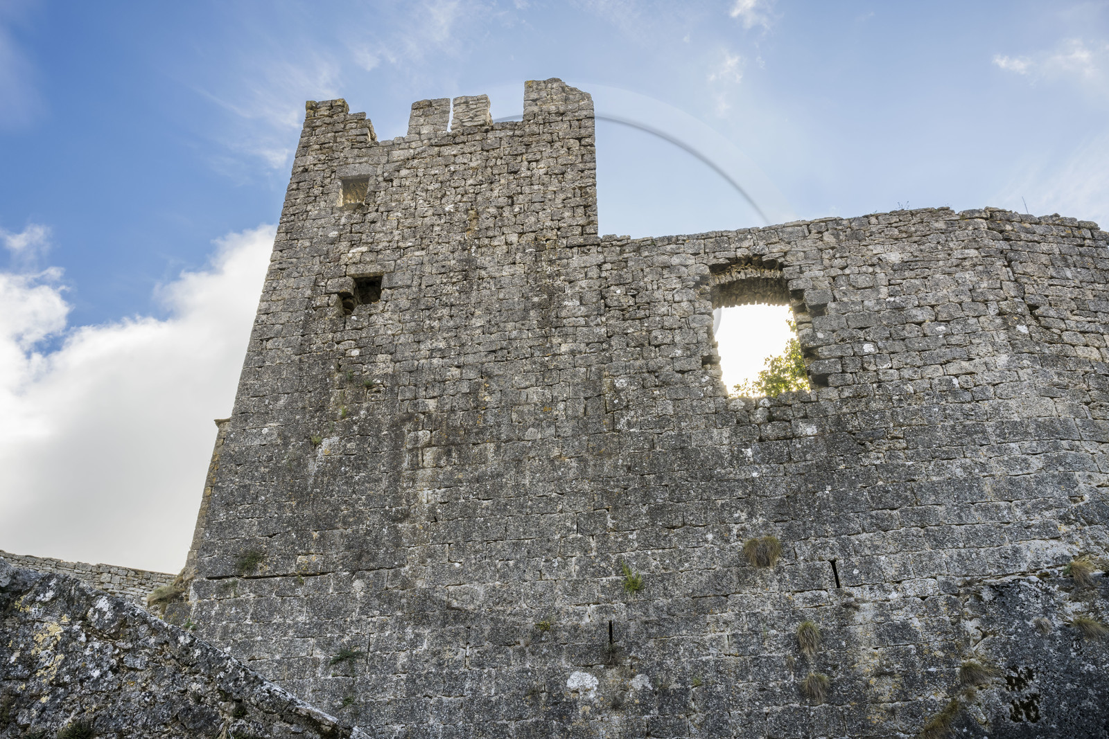 France, Aveyron (12), Causses et les Cévennes, paysage culturel de l'agro-pastoralisme méditerranéen, classés Patrimoine Mondial de l'UNESCO, La Couvertoirade, labellisé Les Plus Beaux Villages de France, village fortifié sur le plateau du Larzac, le chateau construit par les Templiers