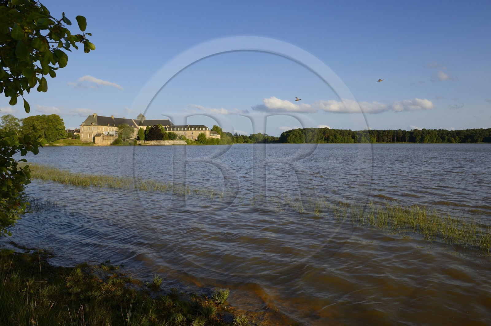 France, Ille-et-Vilaine (35), forêt de Brocéliande, l'abbaye de Paimpont en bordure de l'étang