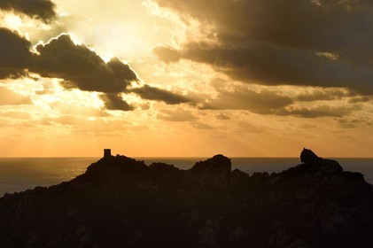 France, Corse du Sud, Cala de Roccapina natural site, genoese tower and Lion rock