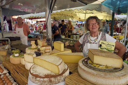 France, Var (83),  golfe de Saint-Tropez, la cité lacustre de Port-Grimaud, le marché dominical