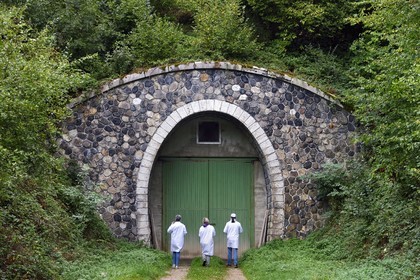 France, Cantal (15), La Chapelle-Laurent, entrée de la cave d'affinage pour les fromages Marcel Charrade dans l'ancien tunnel ferroviaire de la ligne Saint-Flour - Brioude long d’un kilomètre