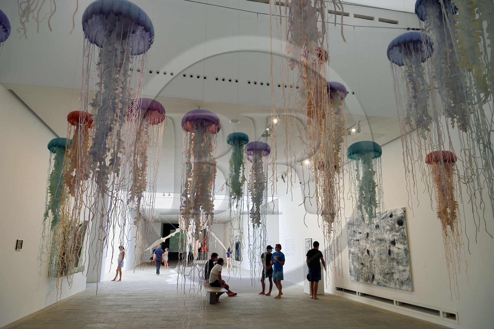 France, Var (83), Iles d'Hyères, parc national de Port Cros, Ile de Porquerolles, la Fondation Carmignac, exposition La Mer imaginaire, Les Méduses (2000-2005) oeuvre de Michel Laury