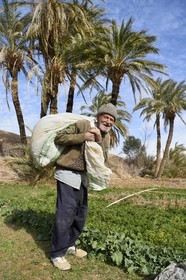 Iran, Isfahan province, Dasht-e Kavir desert, the oasis of Arousan in Khur and Biabanak County, peasant in his field, Mohamed Vahab 85 years