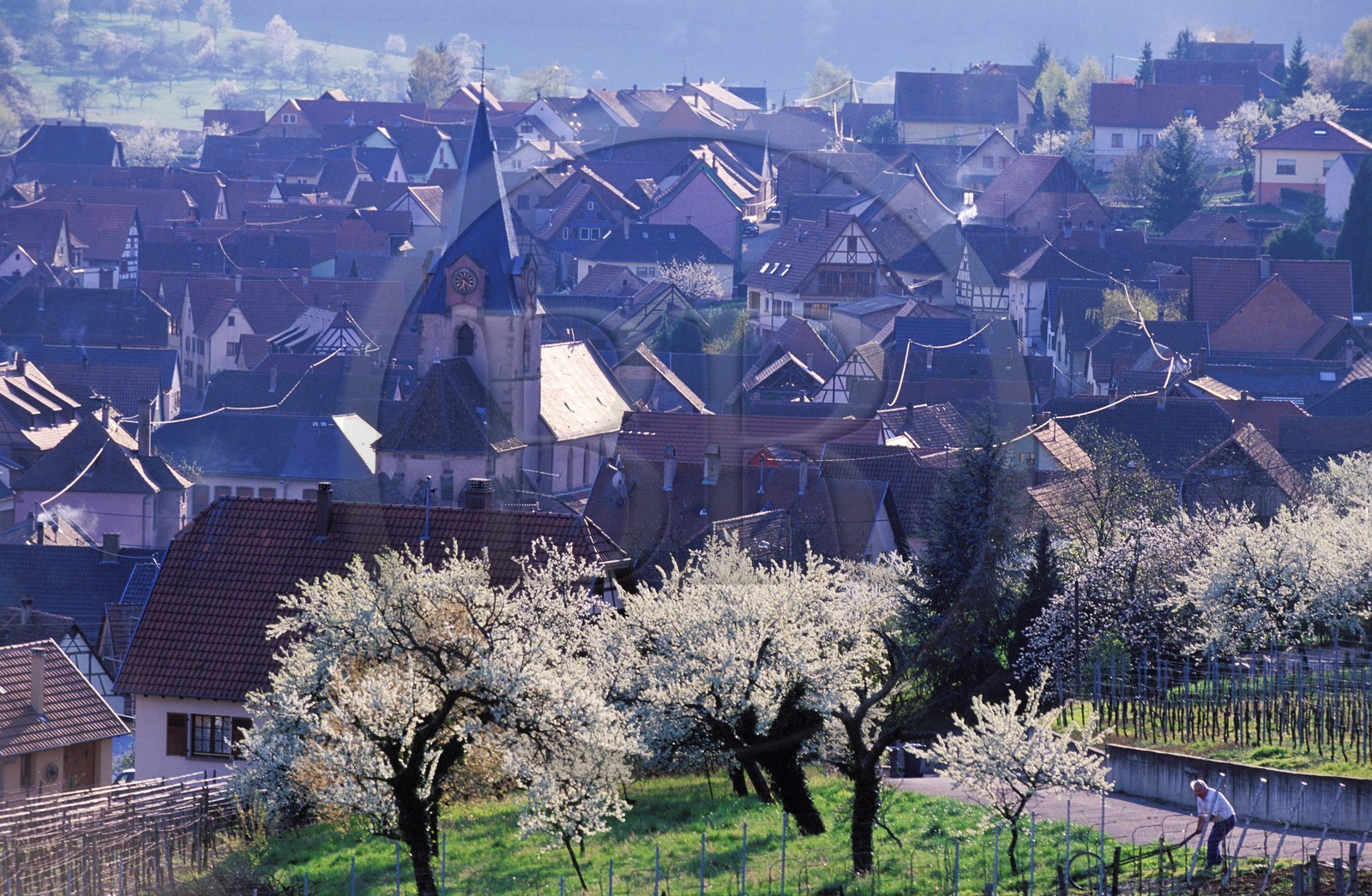 France, Bas-Rhin (67), village de Rosenwiller
