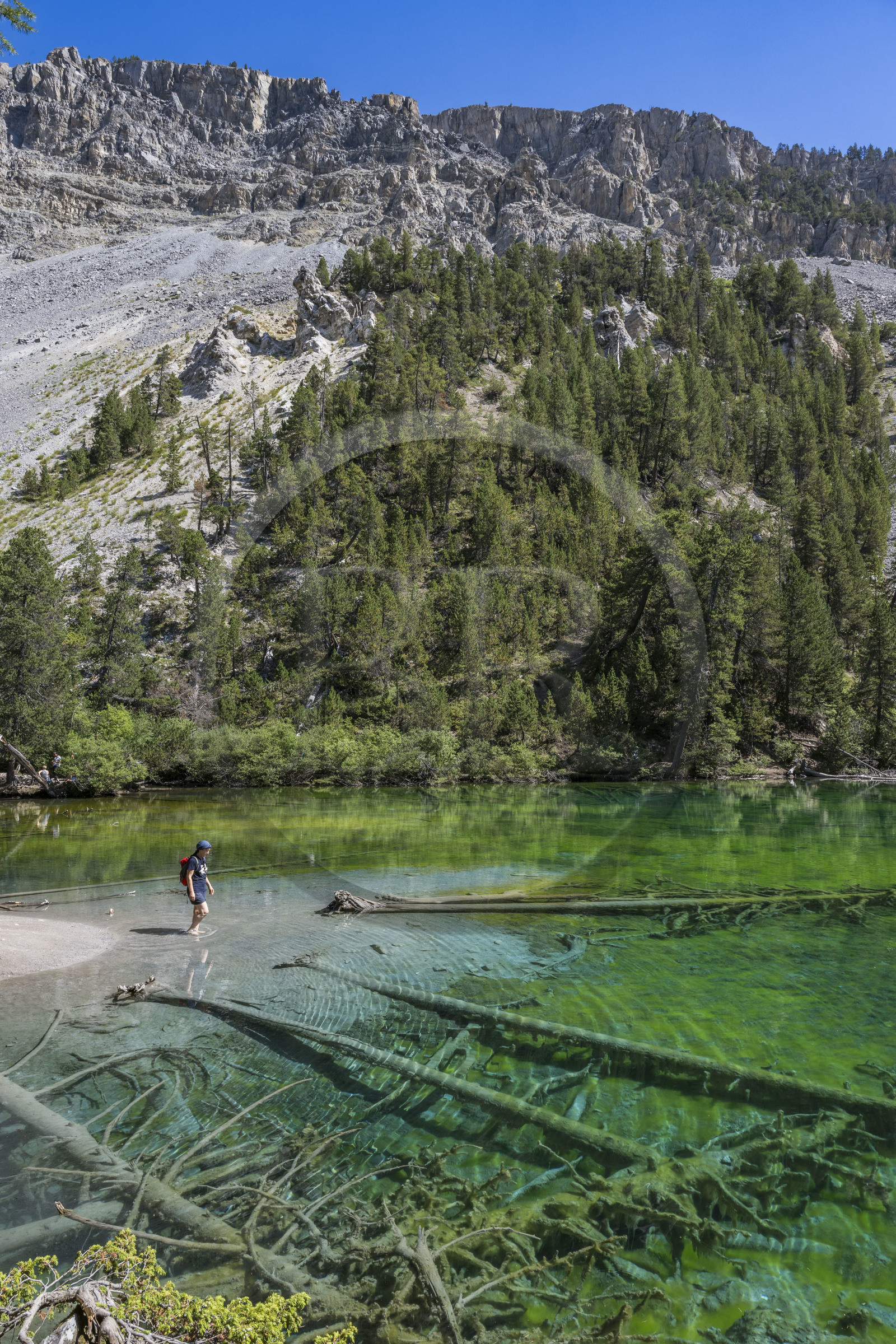 France, Hautes Alpes (05), Névache, la Vallée Étroite à la frontière italienne, le lac Vert (alt. 1834 m)