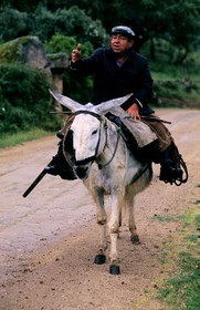 Spain, Estremadura, Alcuescar, a man on a donkey