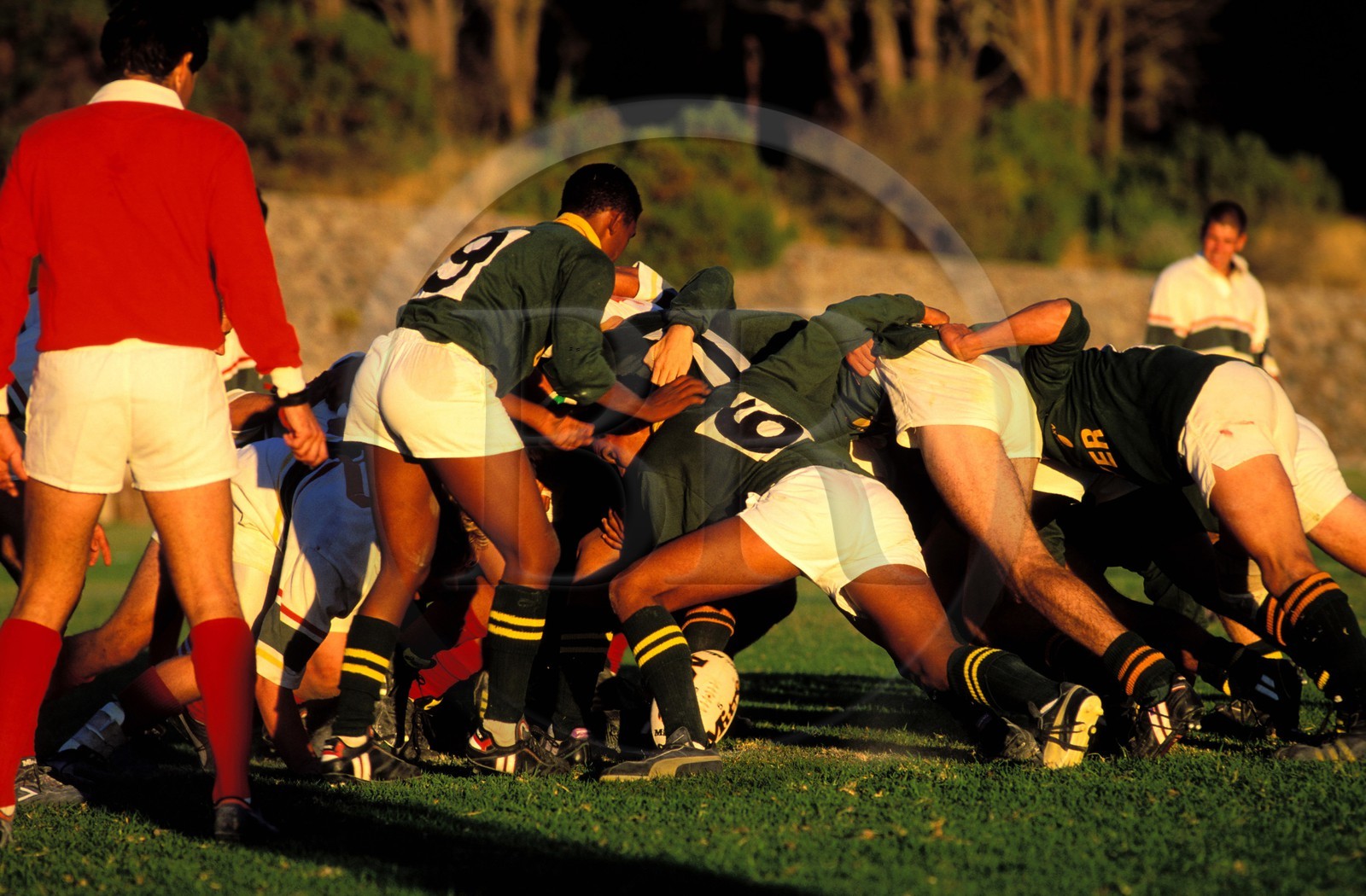 Afrique du Sud, péninsule du Cap, rugby à l' Université de Camps Bay