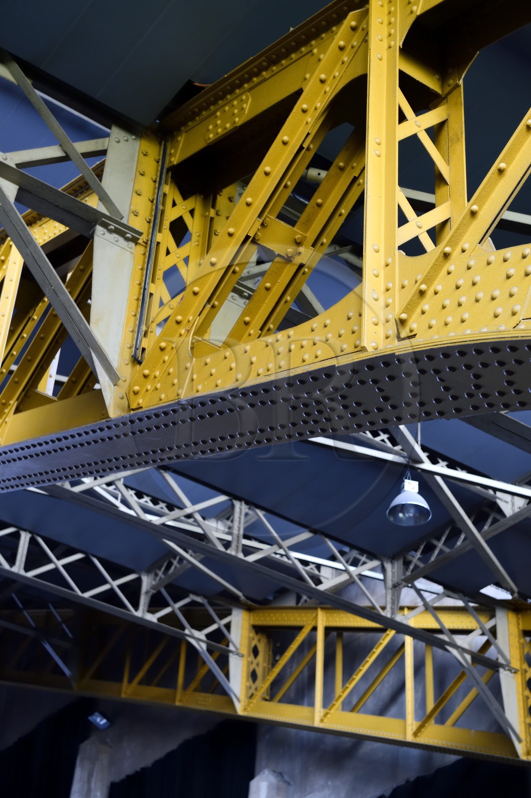 France, Rhône (69), Lyon, salles de concerts halle Tony Garnier de l'architecte Tony Garnier, la structure métallique