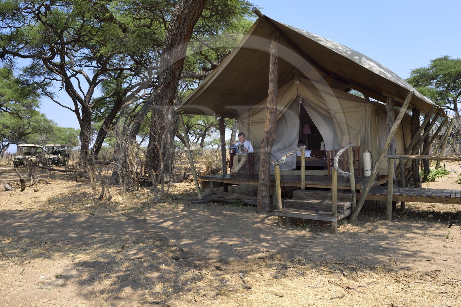 Zimbabwe, province de Matabeleland septentrional, parc national Hwange, Somalisa Expedition Camp de African Bush Camps, une tente