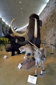 France, Alpes-de-Haute-Provence (04), Parc Naturel Régional du Verdon, Quinson, Musée de préhistoire des Gorges du Verdon conçu par l'architecte Norman Foster